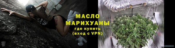 гидра Горняк