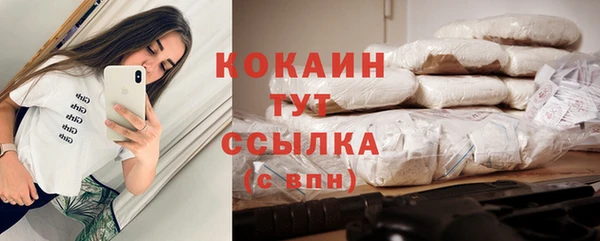 гидра Горняк