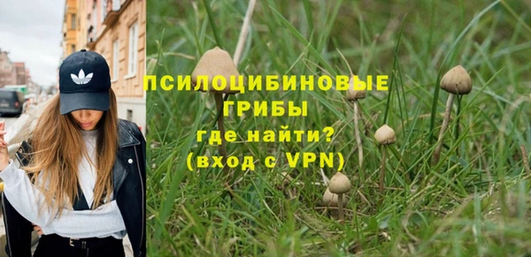 крисы Володарск