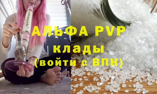ECSTASY Волосово
