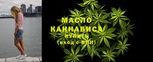 гидра Горняк